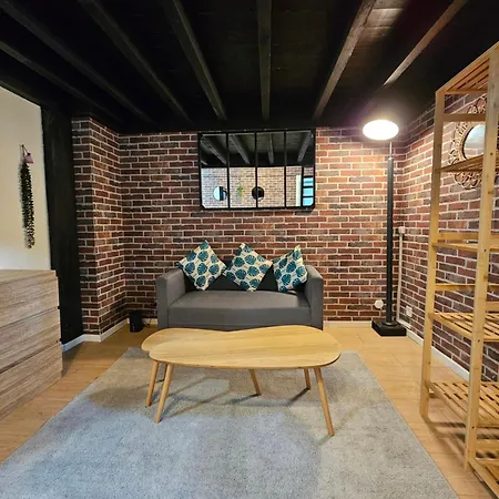 公寓 Duplex A 15 Min A Pieds De La Gare, Centre Historique 蒙吕松