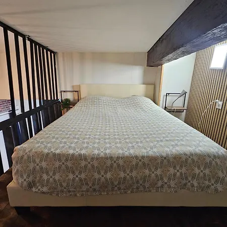 Duplex A 15 Min A Pieds De La Gare, Centre Historique
